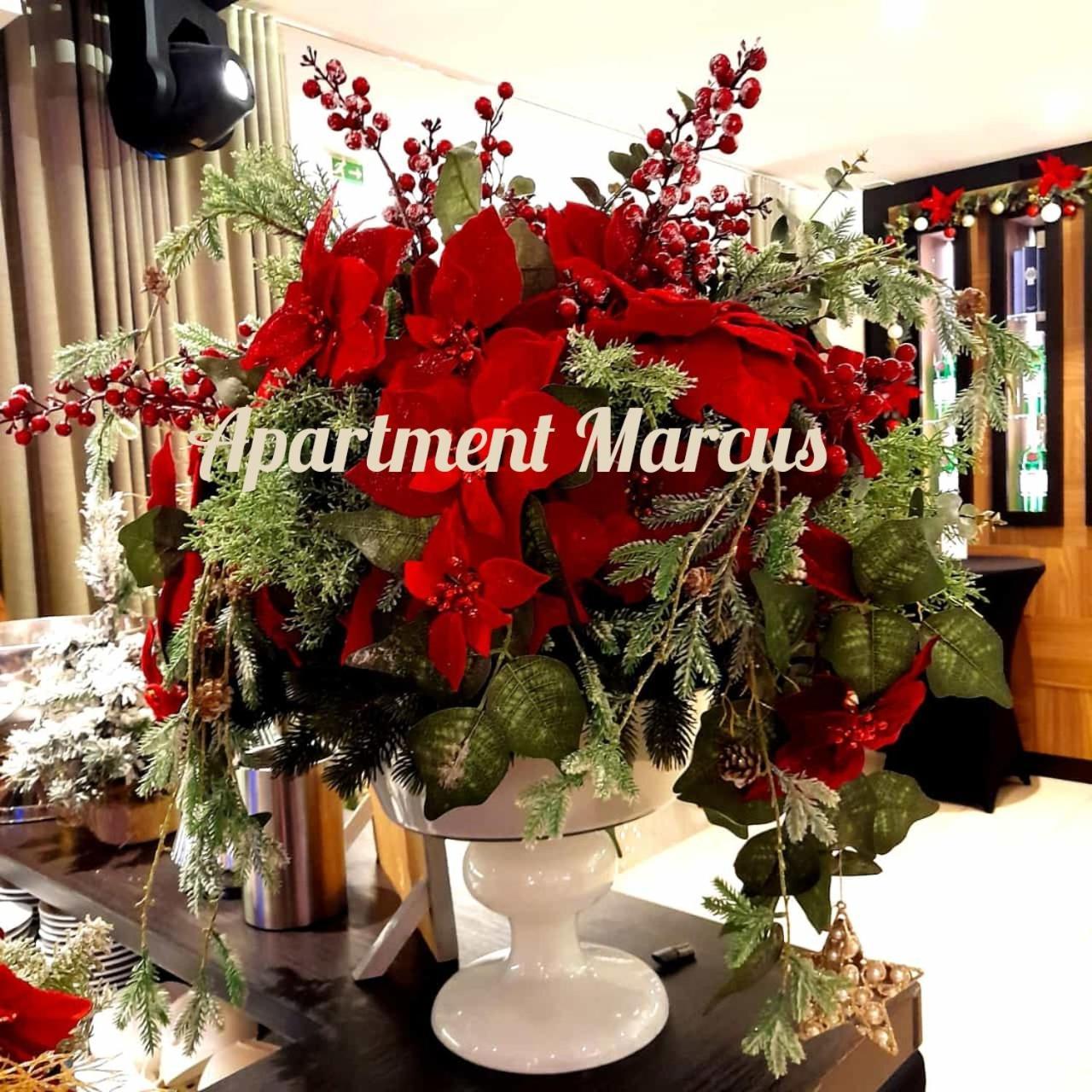 Apartments Marcus & Pascal 시베니크 외부 사진